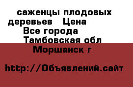 саженцы плодовых деревьев › Цена ­ 6 080 - Все города  »    . Тамбовская обл.,Моршанск г.